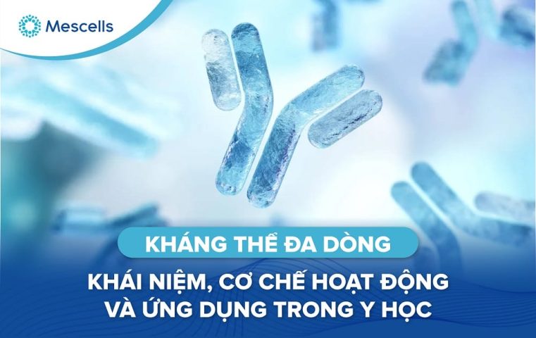 Kháng thể đa dòng-01