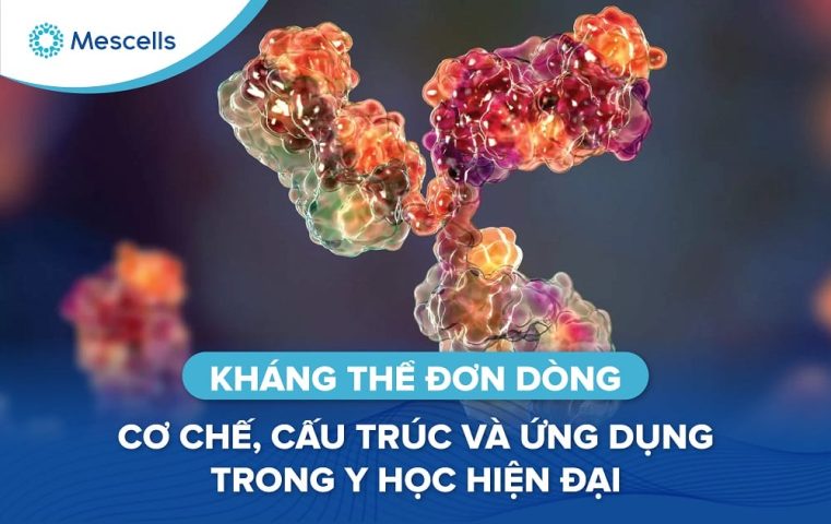 Kháng thể đơn dòng