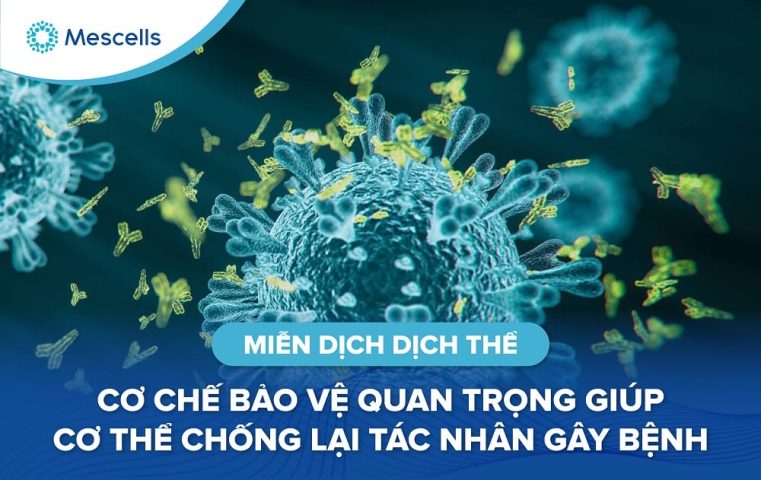 Miễn dịch dịch thể