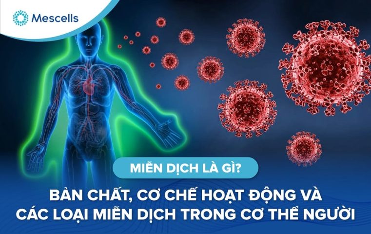 Miễn dịch là gì-01