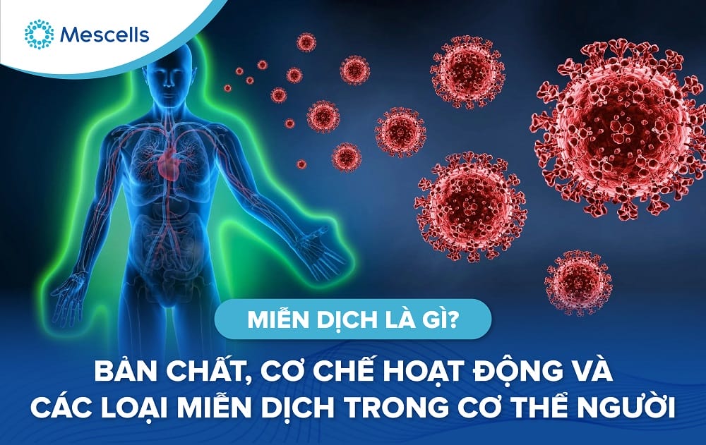 Miễn dịch là gì-01