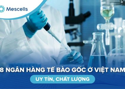 Ngân hàng tế bào gốc ở Việt Nam-1
