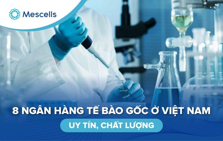 Ngân hàng tế bào gốc ở Việt Nam-1