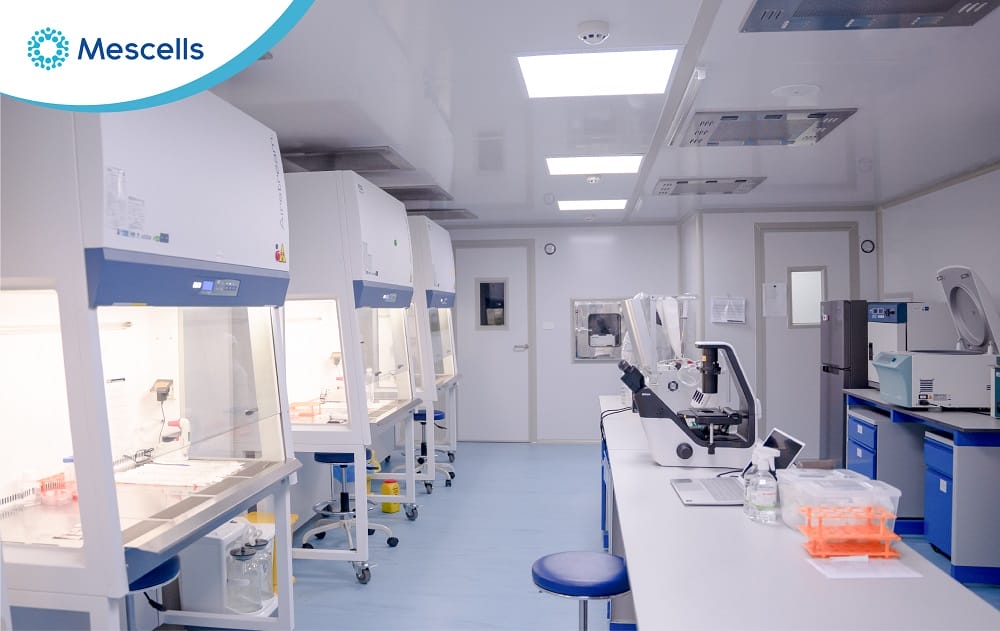 Ngân hàng tế bào gốc ở Việt Nam-2