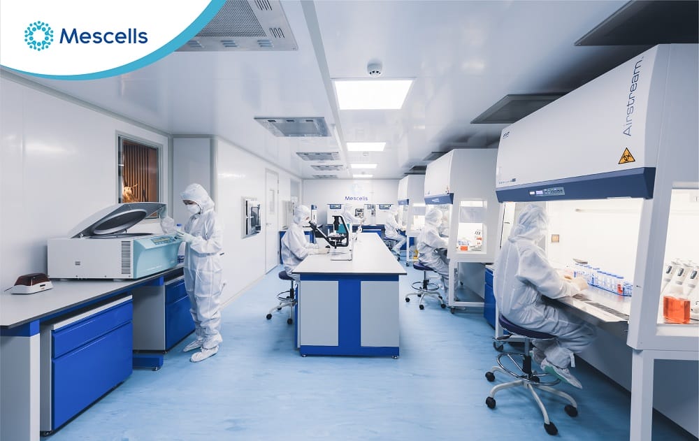 Quy trình nuôi cấy tế bào gốc trung mô