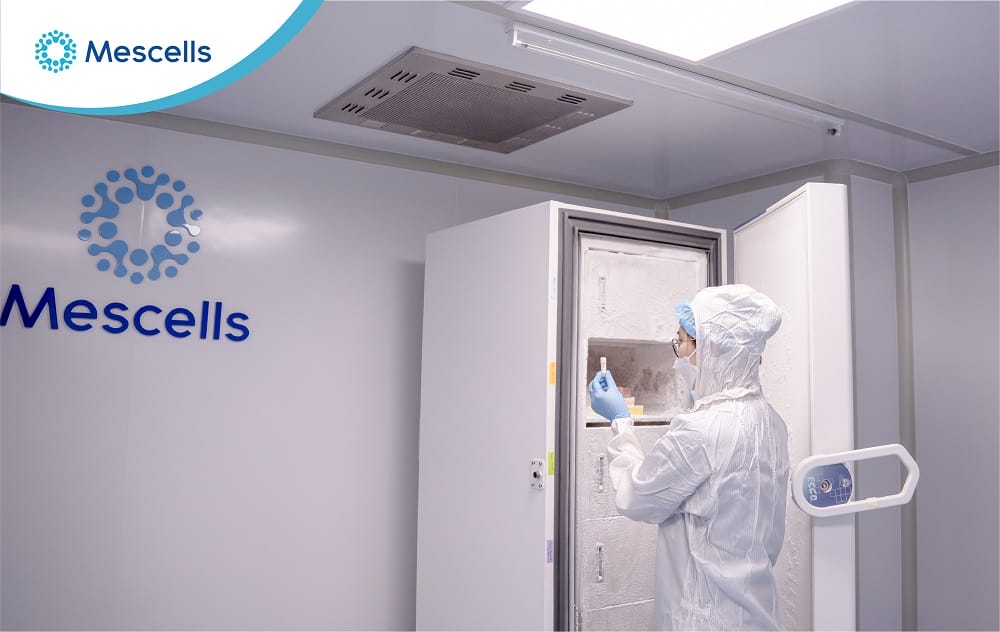 Quy trình nuôi cấy tế bào gốc trung mô