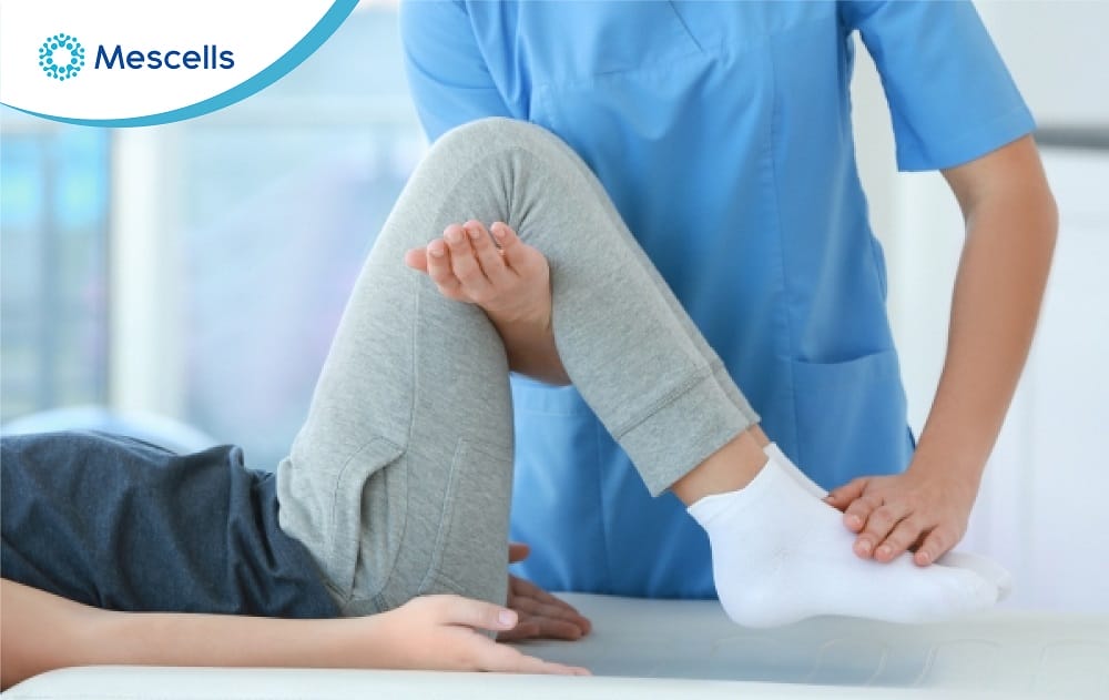 Tiềm năng điều trị thoái hóa khớp gối bằng tế bào gốc-03