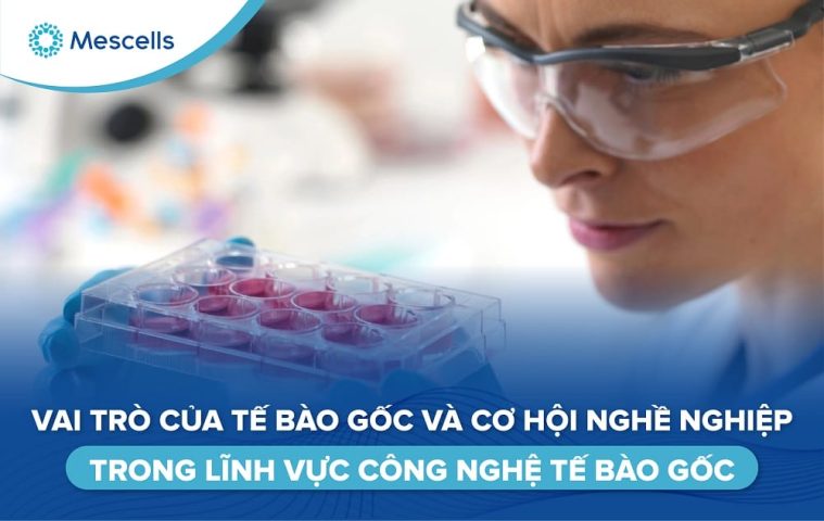 Cơ hội nghề nghiệp trong lĩnh vực công nghệ tế bào gốc-01
