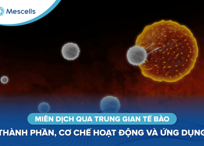 Miễn dịch qua trung gian tế bào-01