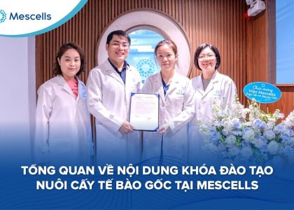 Nội dung khóa đào tạo nuôi cấy tế bào gốc tại Mescells-01