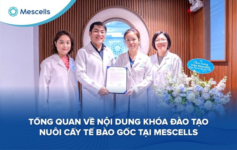 Nội dung khóa đào tạo nuôi cấy tế bào gốc tại Mescells-01