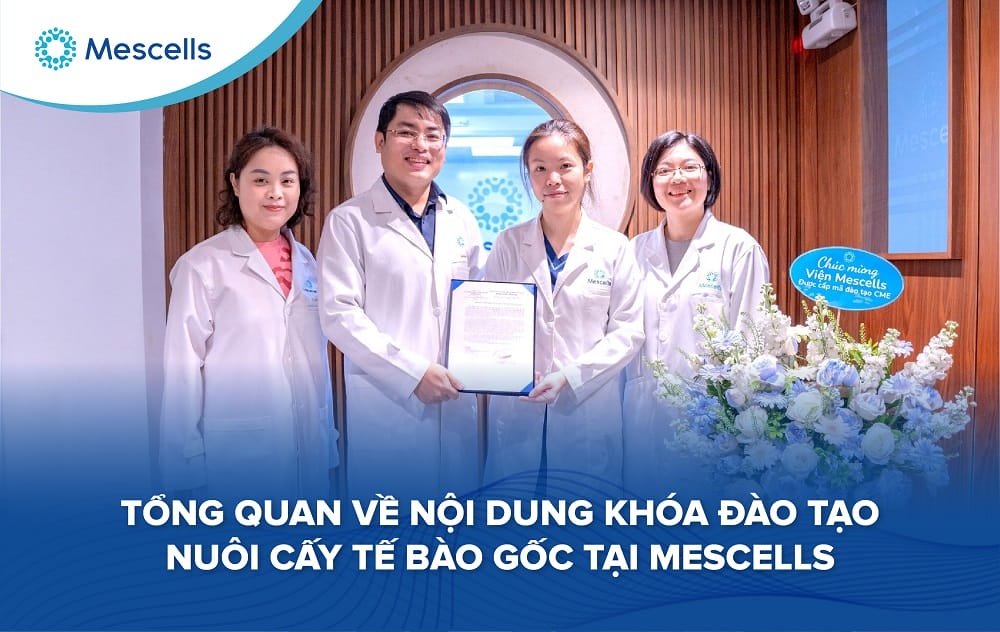 Nội dung khóa đào tạo nuôi cấy tế bào gốc tại Mescells-01