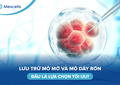 So sánh mô mỡ và mô dây rốn