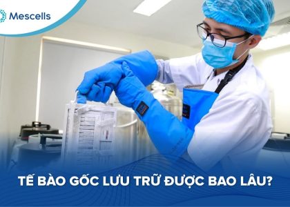 Tế bào gốc lưu trữ được bao lâu-01