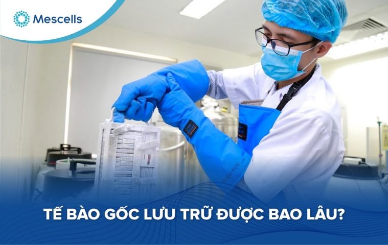 Tế bào gốc lưu trữ được bao lâu-01
