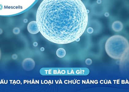 Tế bào là gì-01
