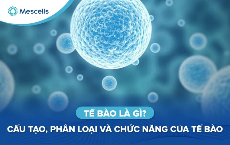 Tế bào là gì-01