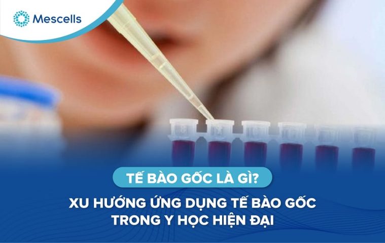 ứng dụng tế bào gốc trong y học-01