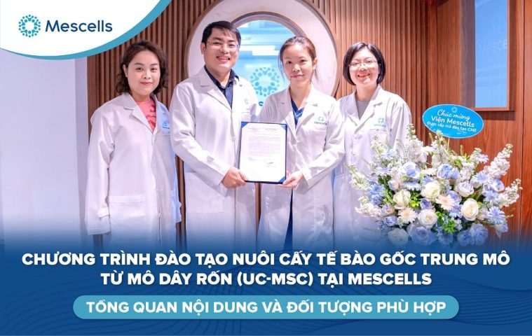 Chương trình đào tạo nuôi cấy tế bào gốc trung mô từ mô dây rốn-01