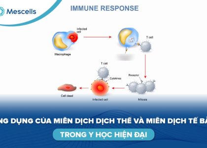 Miễn dịch dịch thể và miễn dịch tế bào-01