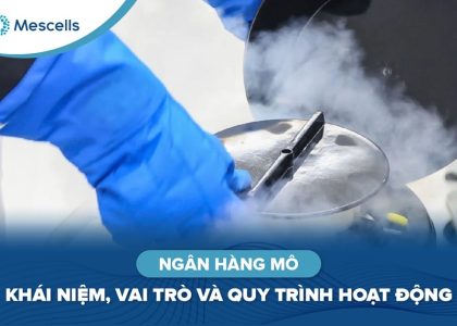 Ngân hàng mô Khái niệm, vai trò và quy trình hoạt động-01