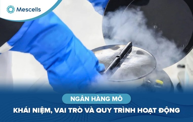 Ngân hàng mô Khái niệm, vai trò và quy trình hoạt động-01