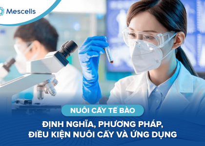 Nuôi cấy tế bào-01
