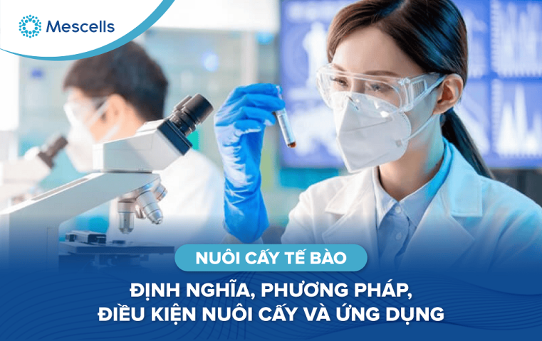 Nuôi cấy tế bào-01