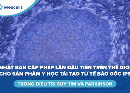 Sản phẩm y học tái tạo từ tế bào gốc ips-01