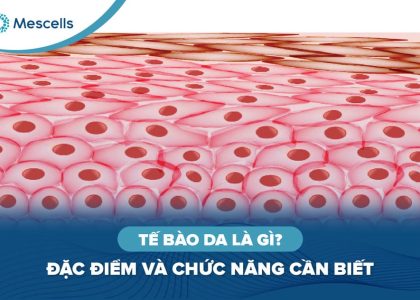 Tế bào da là gì-01