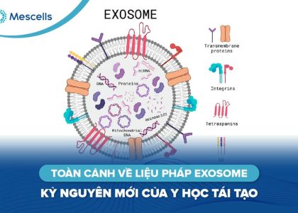 Toàn cảnh về liệu pháp Exosome-01