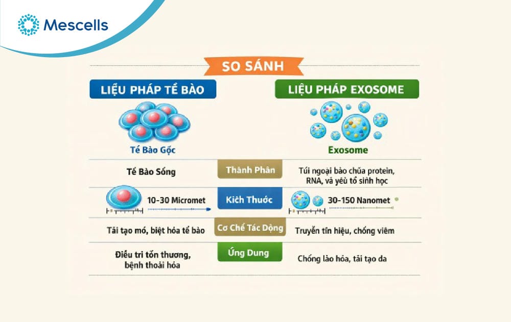 Toàn cảnh về liệu pháp Exosome-03