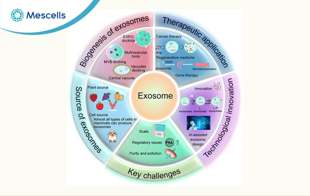 Toàn cảnh về liệu pháp Exosome-06