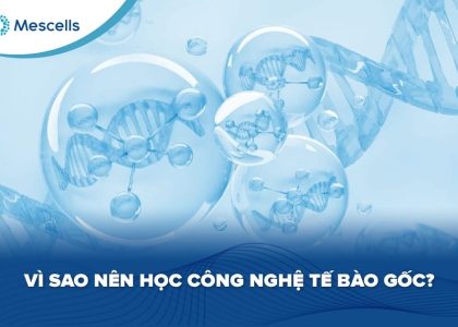 Vì sao nên học công nghệ tế bào gốc-01