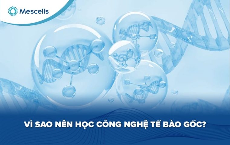 Vì sao nên học công nghệ tế bào gốc-01