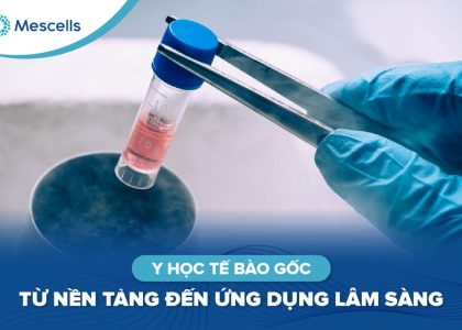 Y học tế bào gốc-01