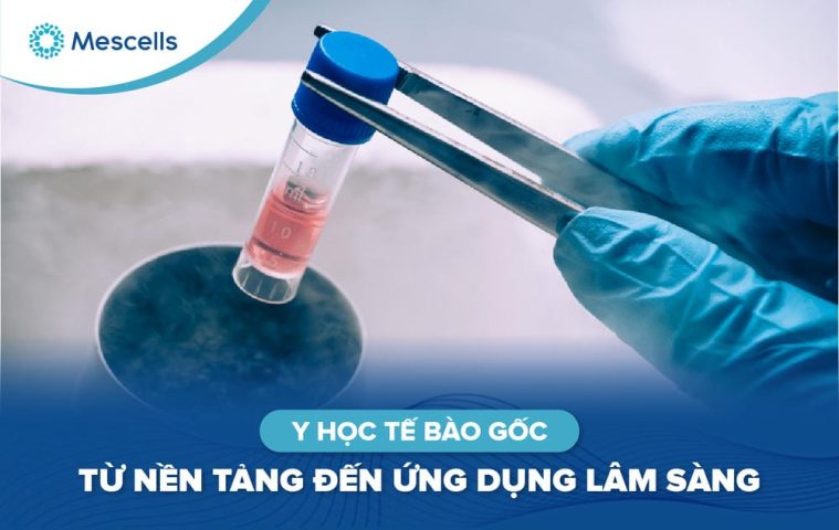 Y học tế bào gốc-01