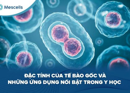 Đặc tính của tế bào gốc-01