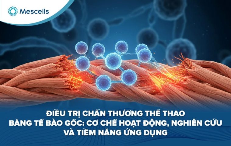 Điều trị chấn thương thể thao bằng tế bào gốc-01