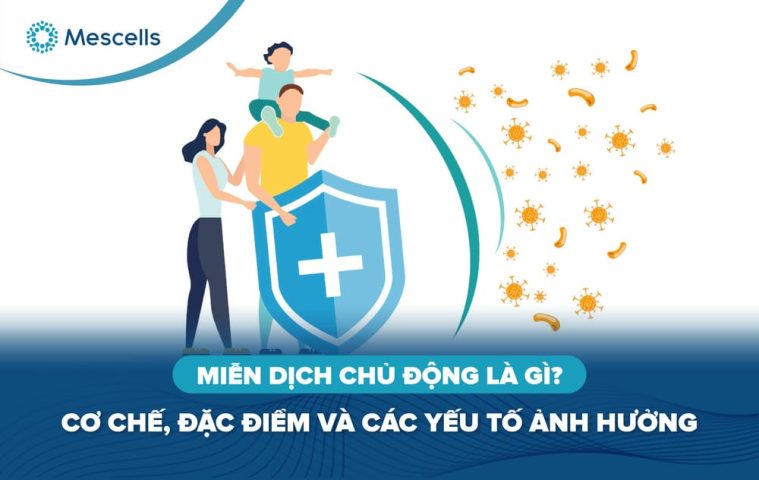 Miễn dịch chủ động là gì-01