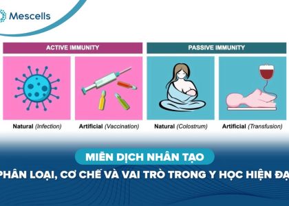 Miễn dịch nhân tạo là gì-01