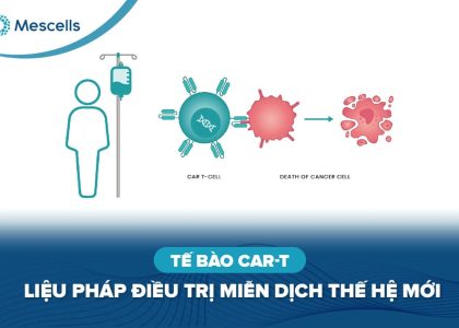 Tế bào CAR-T-01