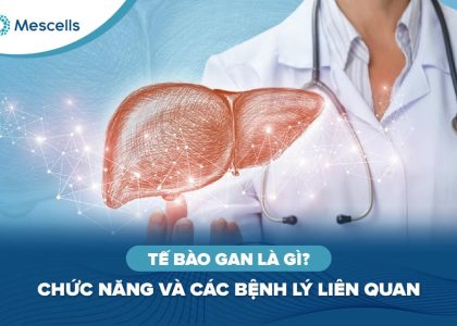 Tế bào gan là gì-01