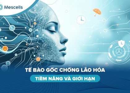 Tế bào gốc chống lão hóa-01