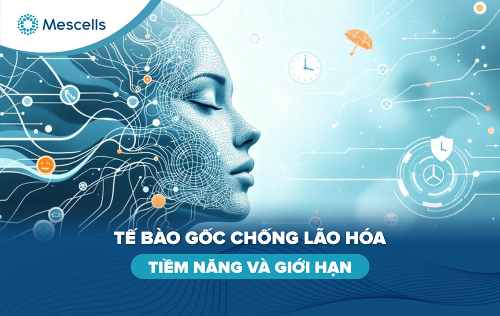 Tế bào gốc chống lão hóa-01