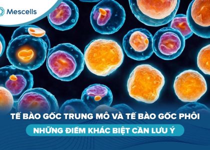 Tế bào gốc trung mô và tế bào gốc phôi-01