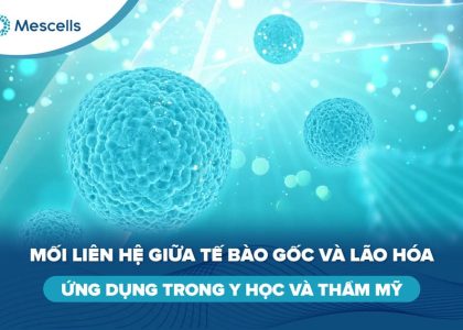 Tế bào gốc và lão hóa-01