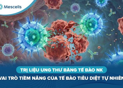 Trị liệu ung thư bằng tế bào NK-01