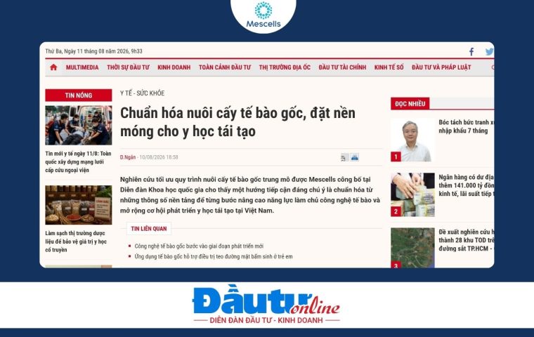 Chuẩn hóa nuôi cấy tế bào gốc