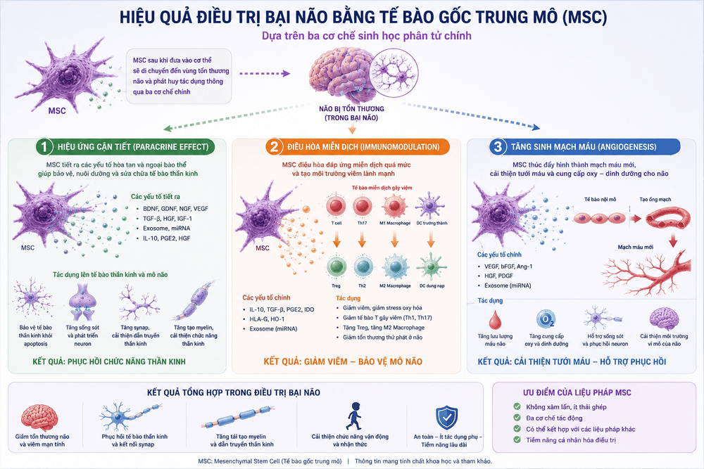 Điều trị bại não bằng tế bào gốc trung mô-4